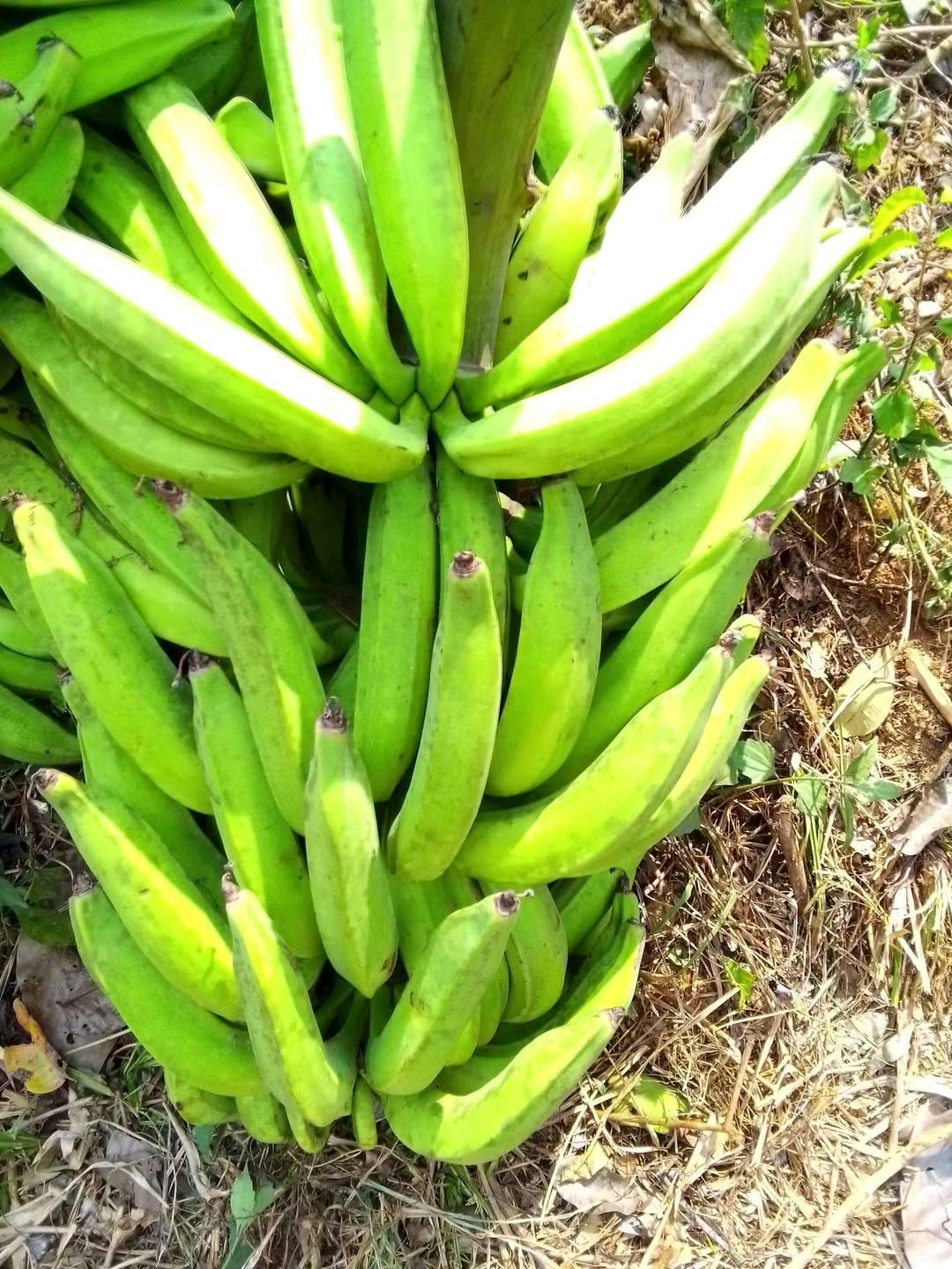 black framed eyeglasses